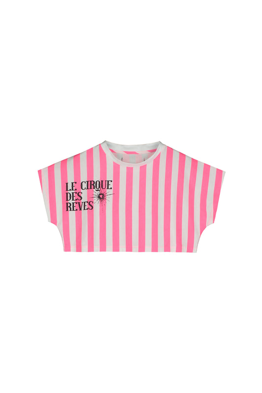 Soft Pink Striped T-Shirt